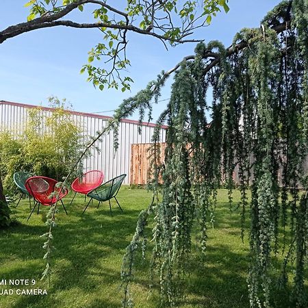 La Grange De Jeannette Daire Burnhaupt-le-Haut Oda fotoğraf